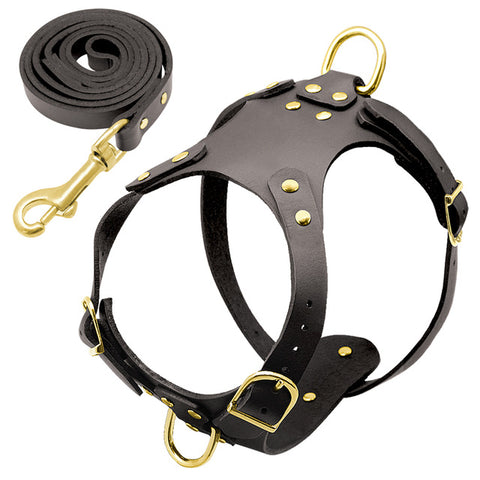 Dog Harness Leash Set