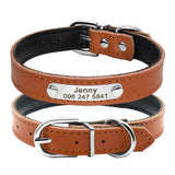 Leather Dog Collar