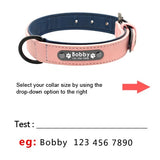 Custom Leather Dog Collars
