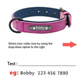 Custom Leather Dog Collars