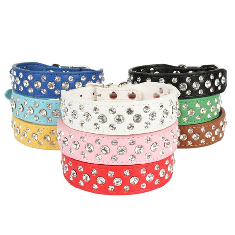 Dogs Collars