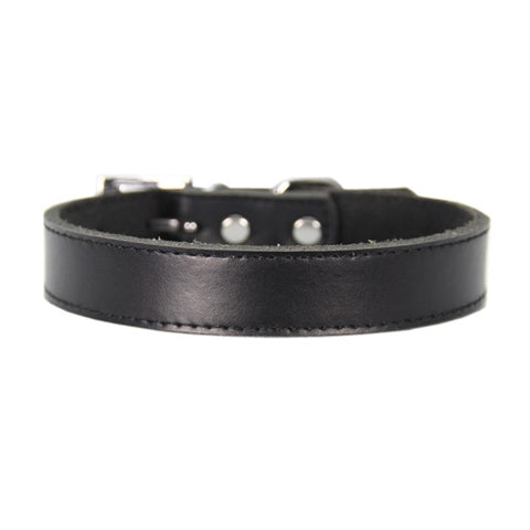 Leather Dog Collar