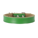 Leather Dog Collar