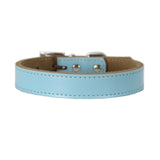 Leather Dog Collar