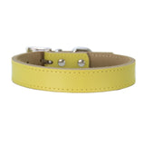 Leather Dog Collar
