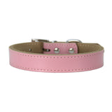 Leather Dog Collar