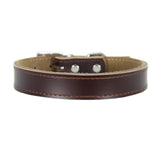 Leather Dog Collar