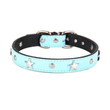 Star Studded Dog Collar