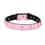 Star Studded Dog Collar