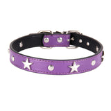 Star Studded Dog Collar