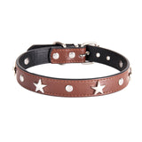 Star Studded Dog Collar