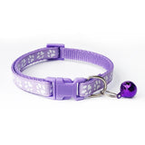 Dog Collar Small Footprint