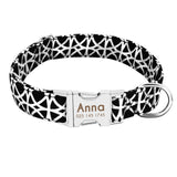 Dog Collar Nylon