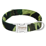 Dog Collar Nylon