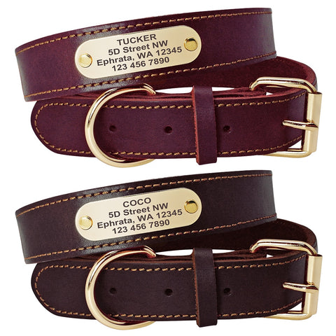 Personalized Leather Dog Collar