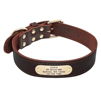 Personalized Leather Dog Collar