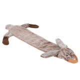 Dogs Chew Squeaker Squeaky Toy