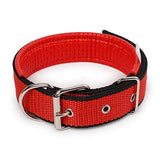 Nylon Dog Collar