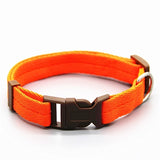 Dog Collar