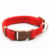 Dog Collar