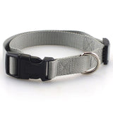 Dog Collar Classic