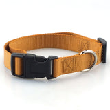 Dog Collar Classic