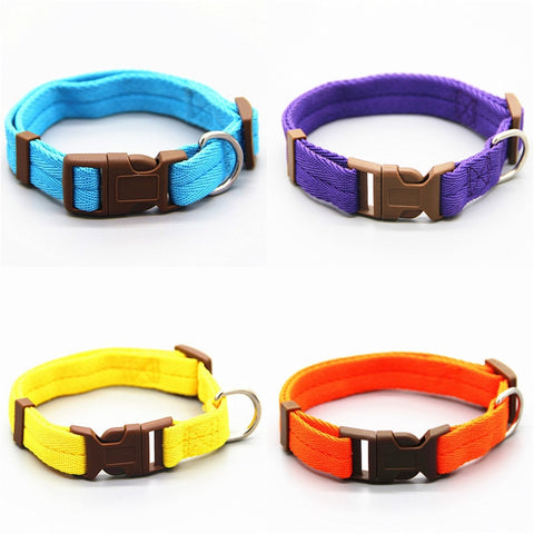 Dog Collar