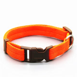 Dog Collar
