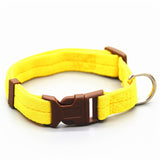 Dog Collar