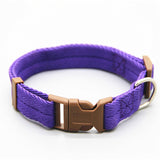 Dog Collar