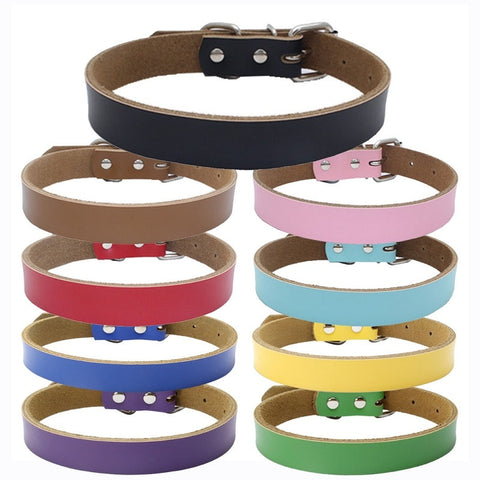 Dog Collar
