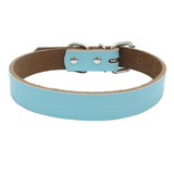 Dog Collar