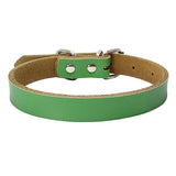 Dog Collar