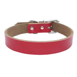 Dog Collar