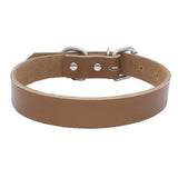 Dog Collar