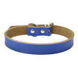 Dog Collar