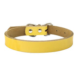 Dog Collar