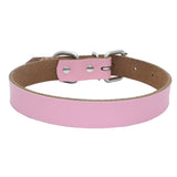 Dog Collar