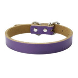 Dog Collar