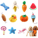 Squeaky Chew Toy