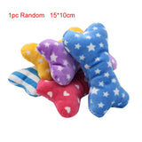 Squeaky Chew Toy