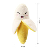 Squeaky Chew Toy
