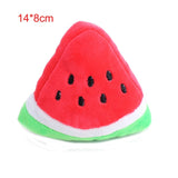 Squeaky Chew Toy