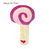 Squeaky Chew Toy