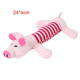 Squeaky Chew Toy