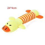 Squeaky Chew Toy