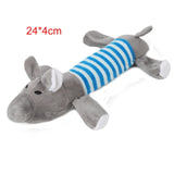 Squeaky Chew Toy