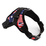 Durable Nylon Dog Harness Reflective