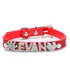 Personalized Dog Collars