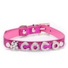 Personalized Dog Collars